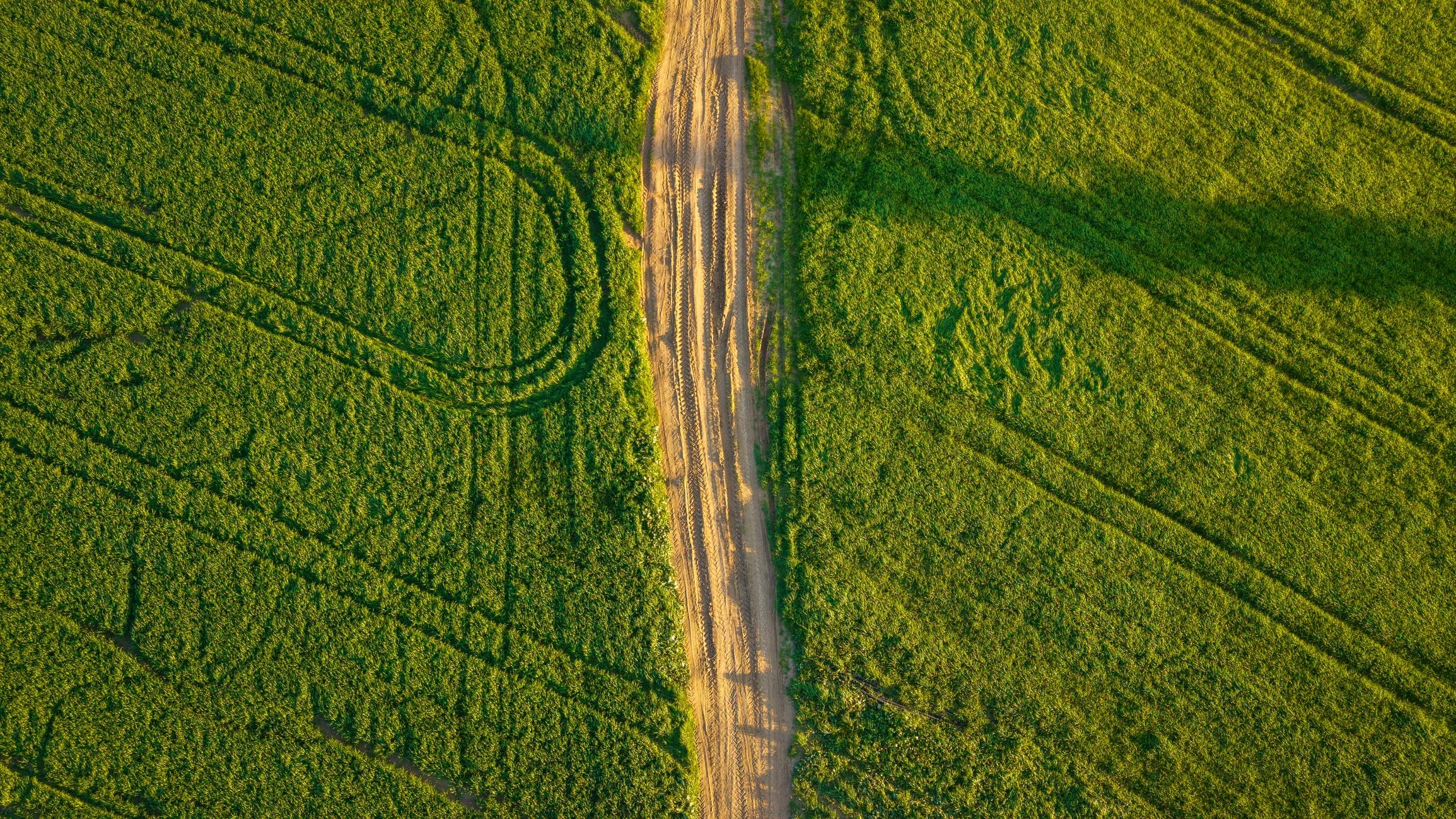 Aerial view of agricultural fields representing large-area mapping coverage